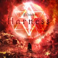 【送料無料】[CD]/DAVID/Harness [Type-A] | ネオウィング Yahoo!店
