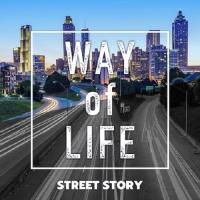 【送料無料】[CD]/STREET STORY/Way of life | ネオウィング Yahoo!店