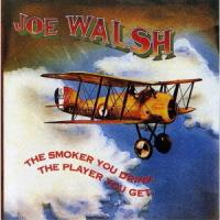 [CD]/ジョー・ウォルシュ/ジョー・ウォルシュ・セカンド [生産限定盤] | ネオウィング Yahoo!店