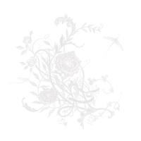 [CD]/Aimer/白色蜉蝣 [通常盤] | ネオウィング Yahoo!店