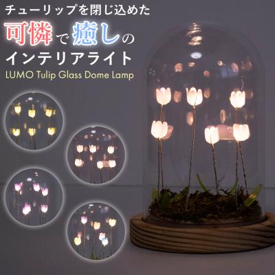ガラスドーム（照明、電球） | 家具、インテリア のおすすめ人気商品