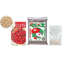 アーテック　ミニトマト栽培基本セット　002760 | シブヤ文具