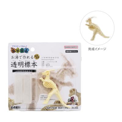 透明標本のおすすめ人気商品一覧 通販 - Yahoo!ショッピング