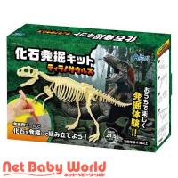 化石発掘キット ティラノサウルス ( 1個 ) | NetBabyWorld(ネットベビー)