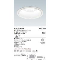 ENDO 遠藤照明 LEDユニバーサルダウンライト(電源別売) ERD6713W 