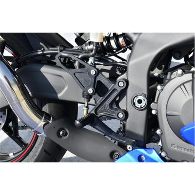 ZX-25R SPEC-A専用ステップKIT 【トカゲ】 00024-01 🎴