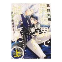 異世界で調子に乗ったら捕まった 上／嘉野六鴉 | ネットオフ まとめてお得店