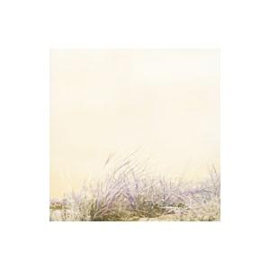 【未開封】【レコード】ART-SCHOOL LOVE/HATE 完全限定プレス盤 JAPAN EDITION – BIG LOVE RECORDS