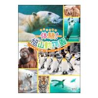 DVD／体験！旭山動物園 | ネットオフ ヤフー店
