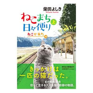 毛塚千代 本のおすすめ人気商品一覧 通販 - Yahoo!ショッピング