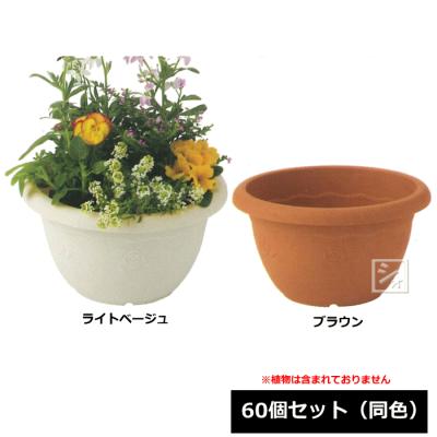 キンリョウヘン（植木鉢、プランター）｜園芸用品 | 花、ガーデニング