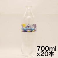 強炭酸 コカ・コーラ アイシー・スパーク from カナダドライ レモン 700mlPET×20本 | ネバーマインド