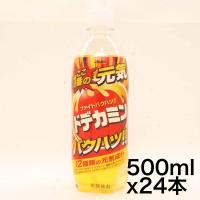 アサヒ飲料 ドデカミン 500ml×24本  熱中症対策 | ネバーマインド