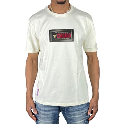 PRO STANDARD シカゴブルズ Tシャツ L ProStandard シカゴ ブルズ Tシャツ 白 ホワイト プロ