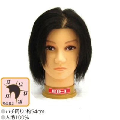 理容試験ウィッグ練習用のおすすめ人気商品一覧 通販 - Yahoo!ショッピング