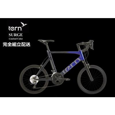 tern surge（ミニベロ、小径車（折りたたみ型以外））｜自転車車体