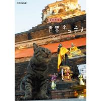 岩合光昭の世界ネコ歩き　タイ・チェンマイ | NHKスクエア