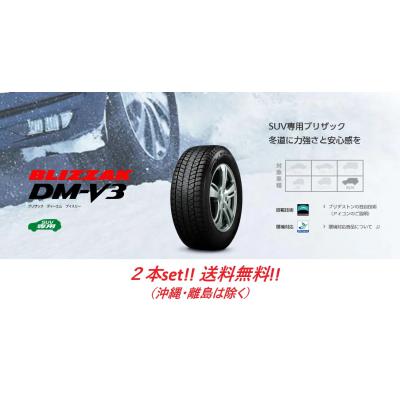 ブリザック DM-Z3 225/65R17 102Q ブリヂストン BLIZZAK DM-V3 SUV用