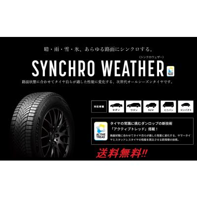DUNLOP（ダンロップ） 245/35R19 93V XL 次世代オールシーズンタイヤ