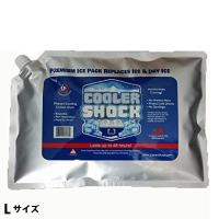 クーラーショック L COOLER SHOCK 7CSLS アウトドア 保冷剤 キャンプ 保冷材 バーベキュー 保冷パック BBQ アイスパック 強力 保冷バッグ 保冷バック | ニッチ・エクスプレス
