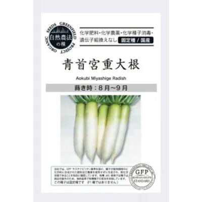 三浦大根 種（種、種子） | 花、ガーデニング の商品一覧 通販 - Yahoo