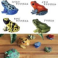 カエル オブジェ リアル レプタイルズマグ バジェット フロッグ マルメタピオカガエル 磁石内蔵 置物 Reptiles Mag Budgetts Frog オリジ 通販 Yahoo ショッピング