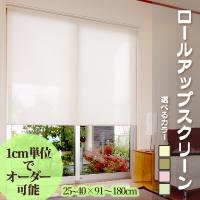 正規品販売! モダン ロールスクリーン 〔無地防炎 180cm×180cm ココ〕 日本製 巻取りスピード調整機能付き 『ティオリオ』〔代引不可〕 ロールスクリーン 立川機工 ティオリオ ロールスクリーン 【無地・防炎】 製品幅180×高さ