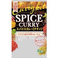 エスビー食品 S＆B CRAFT STYLE スパイスカレー 43.6g | nihonsuko