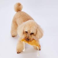 ペティオ (Petio) 犬用おもちゃ もちもちパン屋さん クロワッサン | nihonsuko