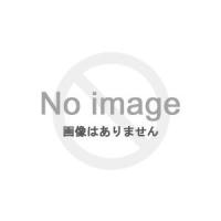 廣田硝子 グラス 大正浪漫 花蕾 市松 KARA-4 | 虹のショップレッド