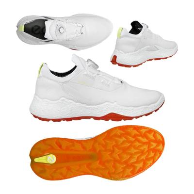 ecco ゴルフシューズ biom h4（サイズ（cm）：24cm）のおすすめ人気