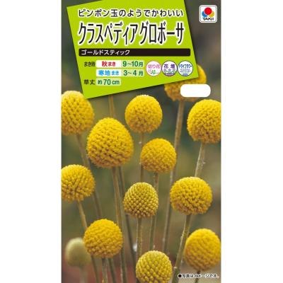 クラスペディアのおすすめ人気ランキングTOP100 - Yahoo!ショッピング