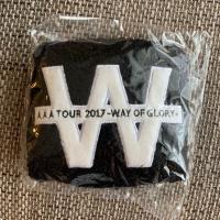 ☆AAA TOUR 2017 WAY OF GLORY 非売品 グッズ リウォーム カイロ カイロケース ☆