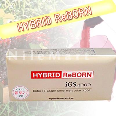 igs4000のおすすめ人気商品一覧 通販 - Yahoo!ショッピング