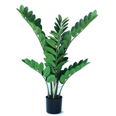 ザミオクルカスのおすすめ人気ランキングTOP100 - Yahoo!ショッピング