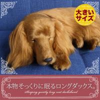 ニニアンドキノ パーフェクトペット (大サイズ) ダックス ロング (レッド) ぬいぐるみ 犬 いぬ イヌ リアル 本物 そっくり ダックスフンド ダックスフント 雑貨 | ニニアンドキノ Yahoo!店