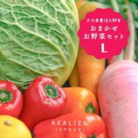 野菜セット REALIZE 送料込 3980円 大分県豊後大野 おまかせお野菜セットL 旬のお野菜、たまに果物 9~10種 /産地直送 お取り寄せ野菜 野菜の詰合せ | にじデパートYahoo!店