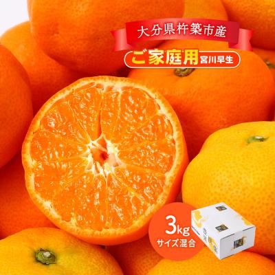 ハウスみかん