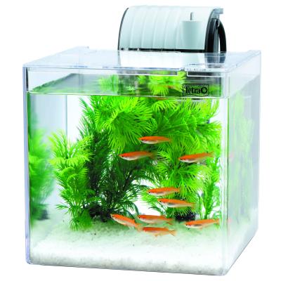 プラスチック 水槽 大型（セット/単品：セット）のおすすめ人気商品