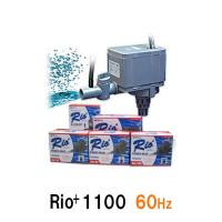 カミハタ リオ Rio+1100 60Hz 2点目より300円引 | 株式会社大谷錦鯉店
