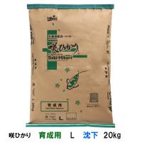 株式会社大谷錦鯉店 株式会社大谷錦鯉店