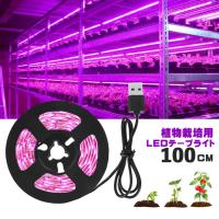 植物育成ライト Led植物用 Ledテープライト 植物成長促進 Ledテープライト防水 Usb対応 2m Smd3528 5v Ledテープ 植物育成ランプ 家庭菜園 室内園芸 野菜工場 Tpl Zw 2m Nissin Lux 通販 Yahoo ショッピング