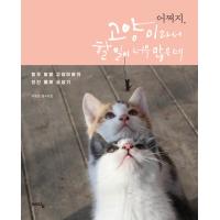 韓国語の写真エッセイ　『どうしよう、ネコだからやることいっぱいなんだけど』著：イ・ヨンハン | にゃんたろうず NiYANTA-ROSE!