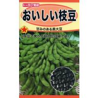 エダマメの種　おいしい枝豆　25ml　品番2005　種子　たね | 日本農業システム