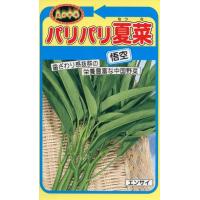 ナツナの種　パリパリ夏菜　8ml　品番6531　種子　たね | 日本農業システム