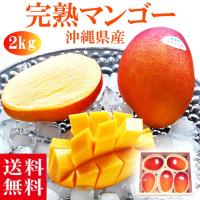 お中元 送料無料 マンゴー 約2kg(4〜6玉) 沖縄 産地直送 果物 くだもの フルーツ ギフト 贈答 プレゼント mango 