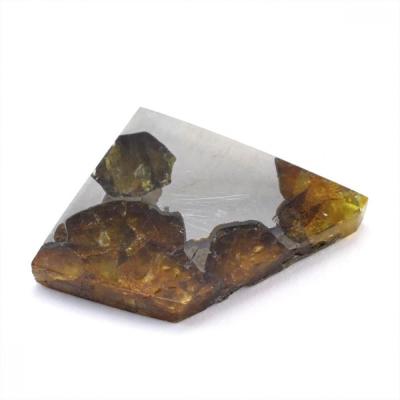 イミラックパラサイトのおすすめ人気商品一覧 通販 - Yahoo!ショッピング