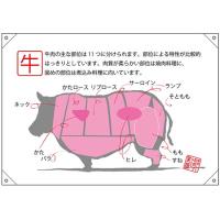 ドロップ幕 ハンプ 牛 部位イラスト No 受注生産 のぼりストア Yahooショッピング店 通販 Yahoo ショッピング
