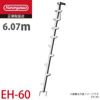 長谷川工業 (配送先法人限定) 枝打はしご EH-60 全長：6.07m 質量：12.4kg 林業用ジョイント式はしご ハセガワ | はしごと脚立のノボッテ