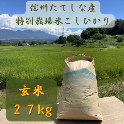 コシヒカリ 30kg（産地：長野）の商品一覧 通販 - Yahoo!ショッピング